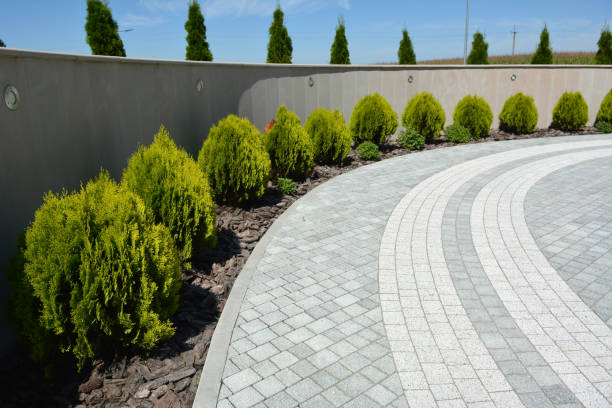 Best Concrete Paver Driveway  in Salado, TX